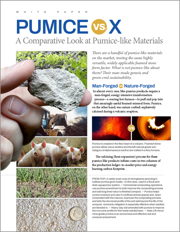 Whitepaper Cover: Pumice vs. X